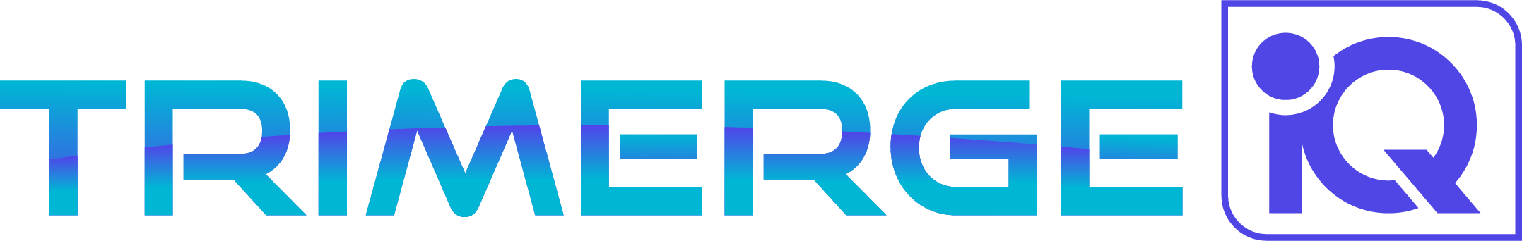TriMerge IQ